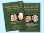 Cover: The Netter Collection of Medical Illustrations: Nervous System Package - Saunders