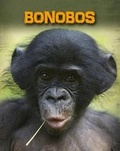 Cover: Bonobos - Raintree Publishers