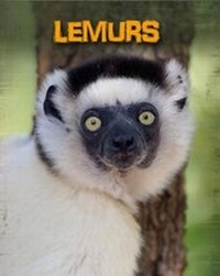 Enlarge image Cover: Lemurs - Raintree Publishers