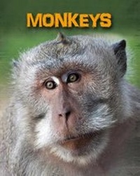 Enlarge image Cover: Monkeys - Raintree Publishers