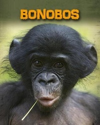 Enlarge image Cover: Bonobos - Raintree