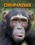 Cover: Chimpanzees - Raintree Publishers
