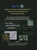 Cover: Molecular Diversity and PCR-detection of Toxigenic Fusarium Species and Ochratoxigenic Fungi - Springer