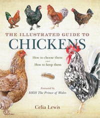 Abbildung von: Illustrated Guide to Chickens - A & C Black Publishers Ltd