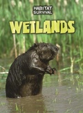 Cover: Wetlands - Raintree Publishers