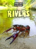 Cover: Rivers - Raintree Publishers