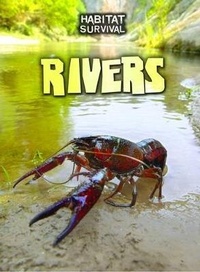 Enlarge image Cover: Rivers - Raintree Publishers