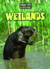 Enlarge image Cover: Wetlands - Raintree Publishers