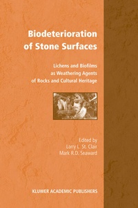 Abbildung von: Biodeterioration of Stone Surfaces - Springer