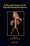 Bild: Endoscopic Surgery of the Potential Anatomical Spaces - Springer
