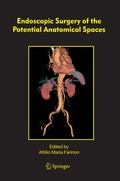 Bild: Endoscopic Surgery of the Potential Anatomical Spaces - Springer