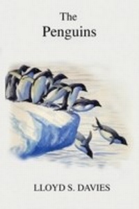 Enlarge image Cover: Penguins - Poyser