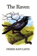Cover: The Raven - Poyser