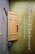 Cover: The Dead Fish Museum - Vintage Books