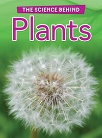 Enlarge image Cover: Plants - Raintree Publishers