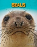 Cover: Seals - Raintree Publishers