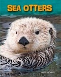 Cover: Sea Otters - Raintree Publishers