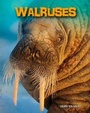 Cover: Walruses - Raintree Publishers