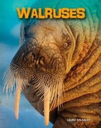 Enlarge image Cover: Walruses - Raintree Publishers