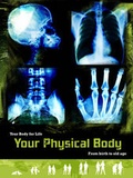 Cover: Your Physical Body - Raintree Publishers