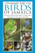 Cover: A Photographic Guide to the Birds of Jamaica - Helm