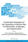 Cover: Sustainable Strategies for the Upgrading of Natural Gas: Fundamentals, Challenges, and Opportunities - Springer