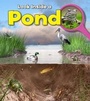 Cover: Pond - Raintree Publishers