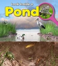 Enlarge image Cover: Pond - Raintree Publishers
