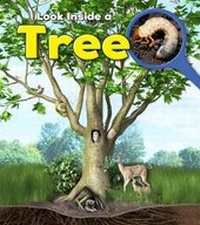 Enlarge image Cover: Tree - Raintree Publishers