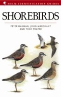 Cover: Shorebirds - Helm