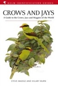 Cover: Crows and Jays - Helm