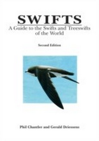 Abbildung von: Swifts - Helm