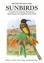 Cover: Sunbirds - Helm