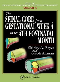 Abbildung von: The Spinal Cord from Gestational Week 4 to the 4th Postnatal Month - CRC Press