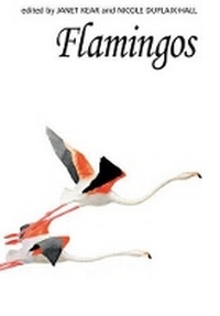 Enlarge image Cover: Flamingos - T & AD Poyser