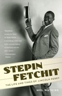 Cover: Stepin Fetchit - Vintage Books