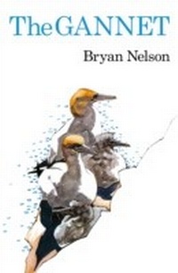Enlarge image Cover: The Gannet - Poyser