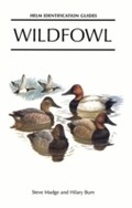 Cover: Wildfowl - Helm