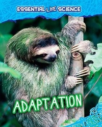Enlarge image Cover: Adaptation - Raintree Publishers