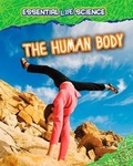 Cover: The Human Body - Raintree Publishers