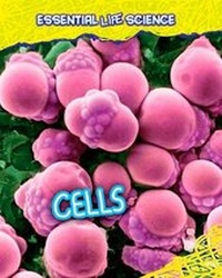 Enlarge image Cover: Cells - Raintree Publishers