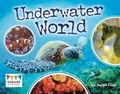 Cover: Underwater World 6pk - Raintree