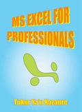 Bild: MS Excel for Professionals - Trafford Publishing