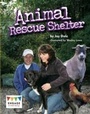 Cover: Animal Rescue Shelter - Raintree Publishers