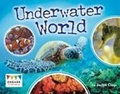 Cover: Underwater World - Raintree