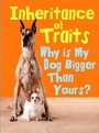 Cover: Inheritance of Traits - Raintree Publishers