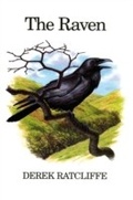 Cover: The Raven - Poyser