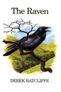 Enlarge image Cover: The Raven - Poyser