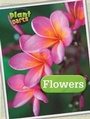 Cover: Flowers - Raintree Publishers
