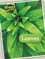 Cover: Leaves - Raintree